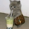 boba12121212