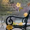 user7517614621586