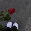 farah.al.abdalla