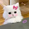 hana.binii