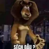 trandothanhnhan