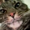 heck__man