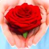 ceyhun_432