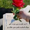 user787024904