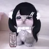 ccut2419