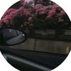 xz_qmv