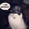 aiman_lukman4_.hariss