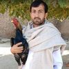 muhammadjawedkhan8
