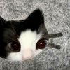 hlmtsdh_hilma09