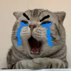 keosuamjkjta