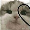 ♥︎✰𝗺𝗶𝘀𝗵𝗲𝗹✰♥︎