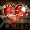user8593381865725