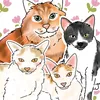cats_and_tulips