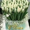 mariyam889900
