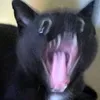 hchunz