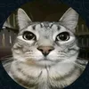 pietro_timao