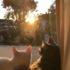 meriem_mariya