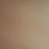 asil_asil452