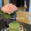 mariam.alnaser