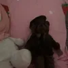 fempilld