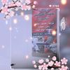 fatimahossein3