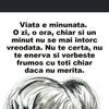 alexalex.701