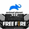 victoranimalplane