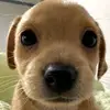 keeeeeepppp