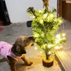 zara_vacina_cat_mel_dog