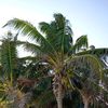 landers0126