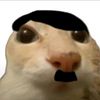 essus5