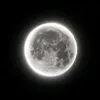 matthew_8_8