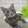 kelekofficial