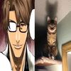 novaonline.nmbr.1fan