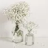 www.tittok.com.vn