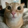 imgenuinlybored