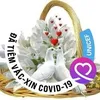 yenbao4946