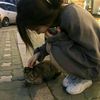 cipipipiuuu