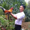 thanhdat.63tg
