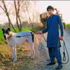 adil.malik7077
