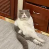 phamlinhhhh5