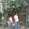 user3290533418730