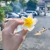 linhlyy757