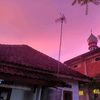 palzc_