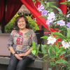 shinta.siregar37