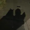 ash.aim