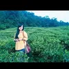 fitaanggraini9575