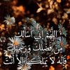 omabdelrahman706