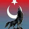 asena51ni