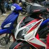 daengblue115